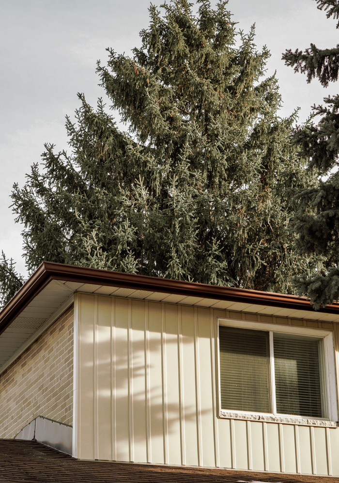 Services View of a house with tall evergreen trees in Toronto, capturing the serene suburban setting.