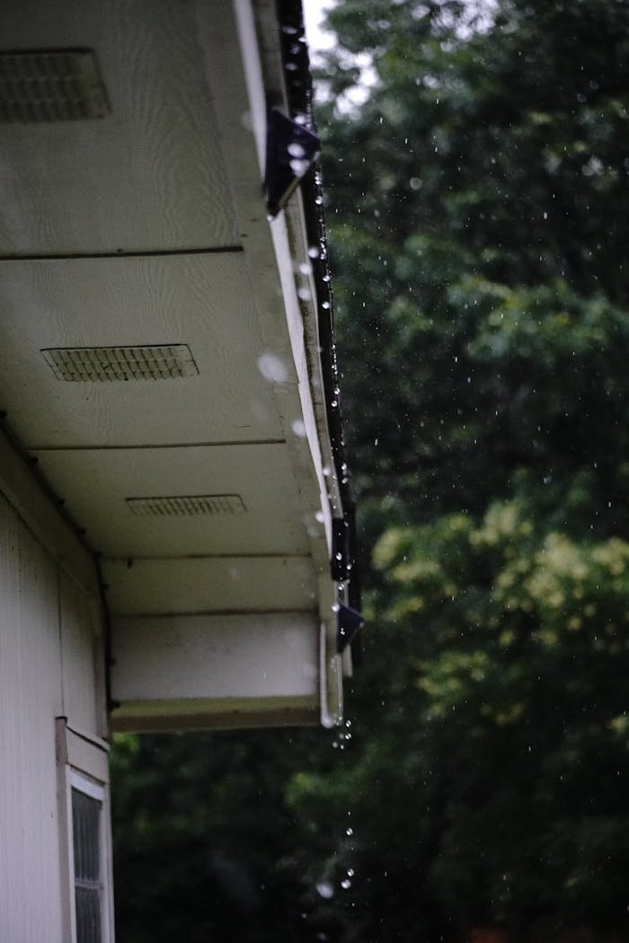 Home Raindrops falling from a house roof surrounded by lush greenery, capturing a serene rainy day mood.