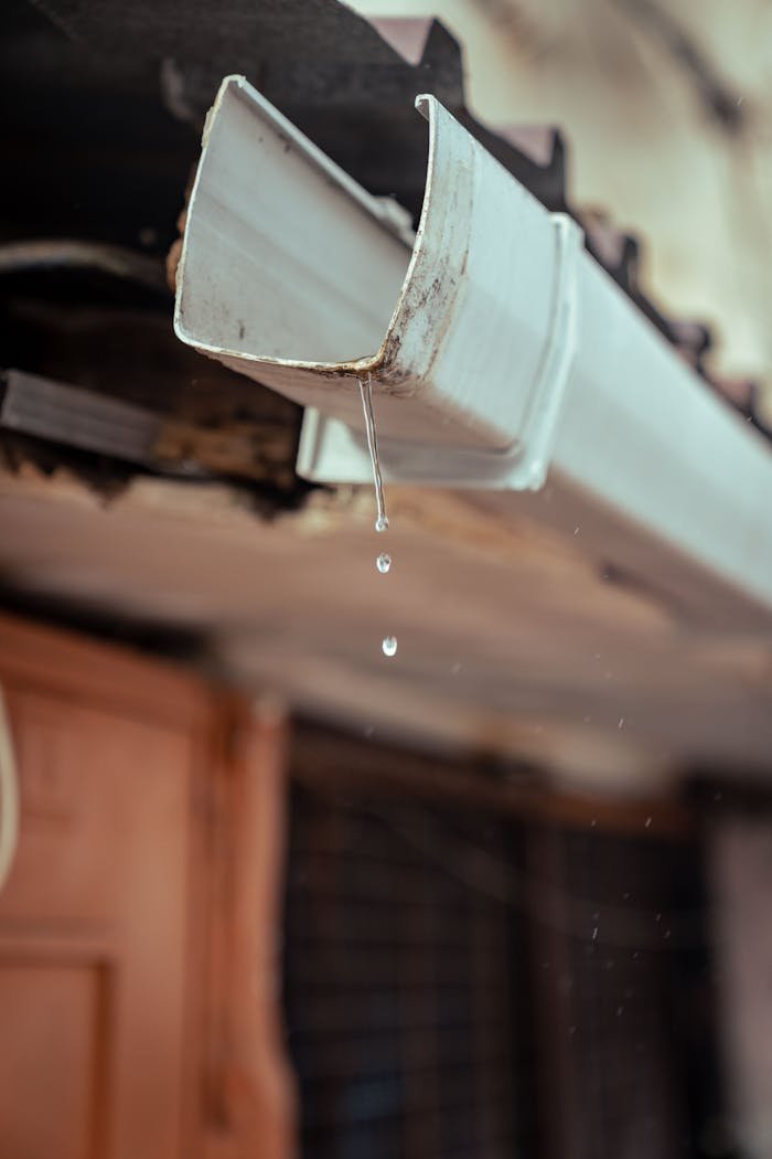 Services Detailed shot of rainwater droplets falling from a house gutter, emphasizing water flow.